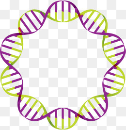 科学家绘制了导致儿童癌症的神秘环状dna