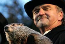 PETA希望用动画AI取代Punxsutawney Phil