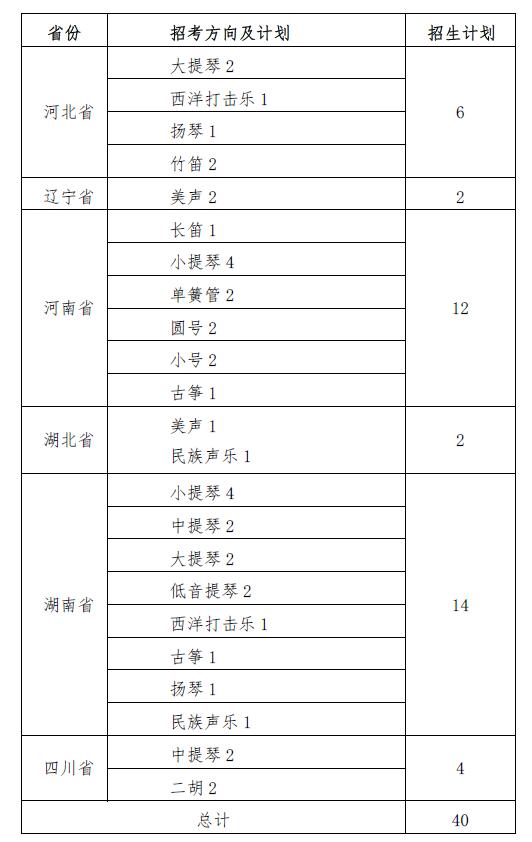 音乐表演专业招生计划