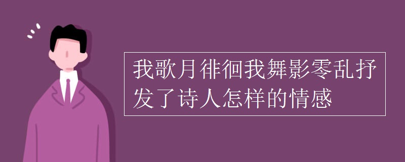 我歌月徘徊我舞影零乱抒发了诗人怎样的情感