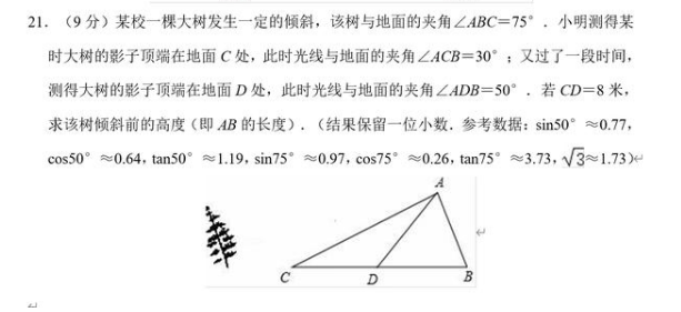 试题11