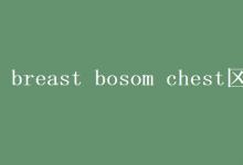 教育资讯：breast bosom chest区别