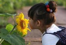 如何在幼儿园绘本教学的价值与实施策略