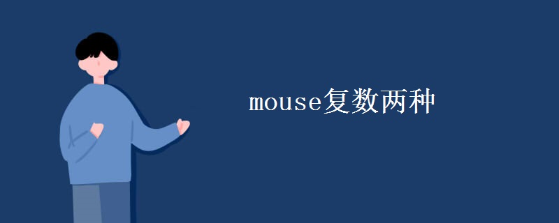 mouse复数两种