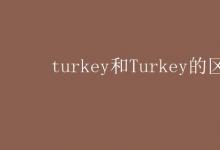 教育资讯：turkey和Turkey的区别