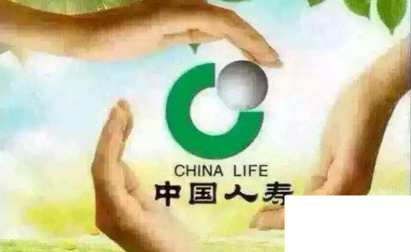 中国十大寿险排行榜