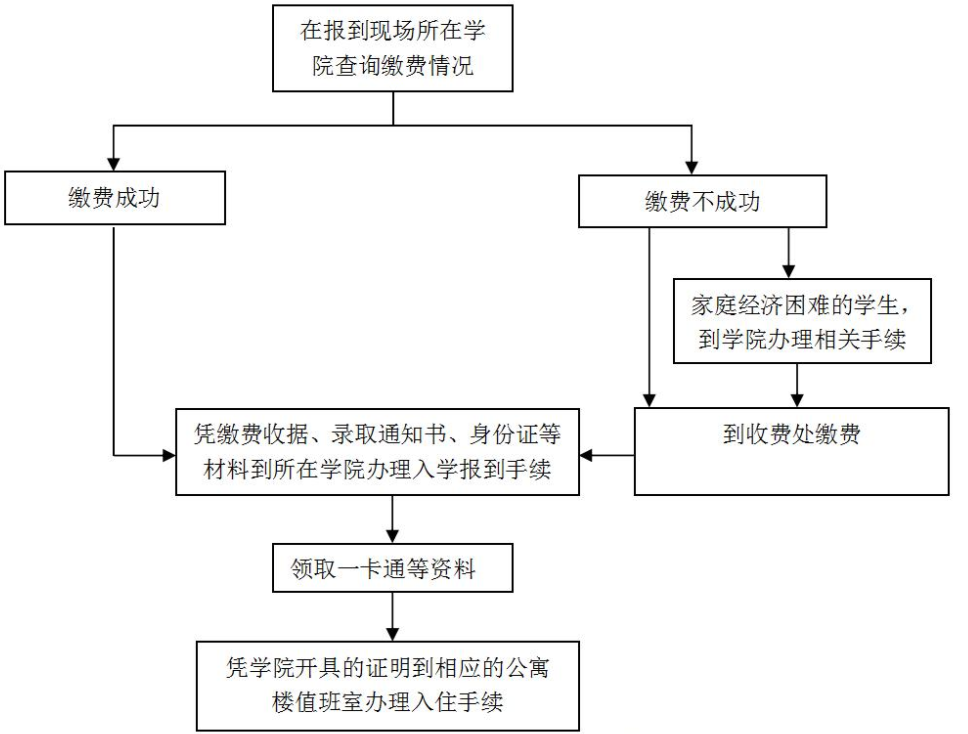 高一新生报到流程图