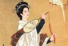 日常生活：华阳夫人是芈月吗