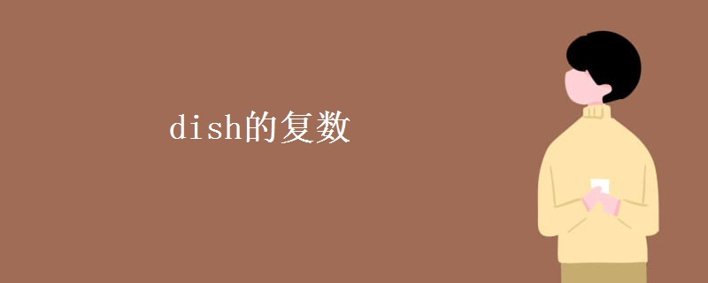 dish的复数