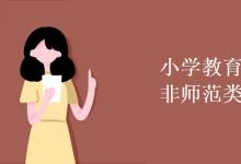 教育资讯：小学教育师范类和非师范类区别