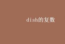 教育资讯：dish的复数