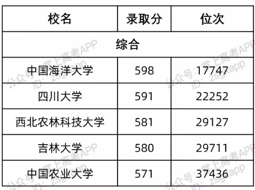 山东最容易考的985大学及录取分数线