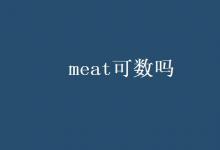 教育资讯：meat可数吗