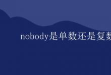 教育资讯：nobody是单数还是复数