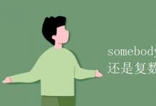 教育资讯：somebody是单数还是复数