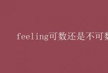 教育资讯：feeling可数还是不可数