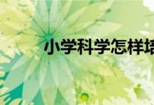 小学科学怎样培养学生的创新能力