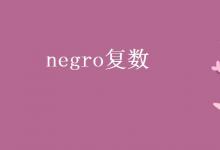 教育资讯：negro复数