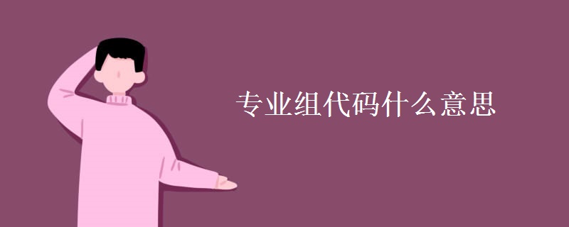 专业组代码什么意思