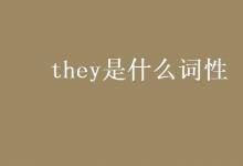 教育资讯：they是什么词性