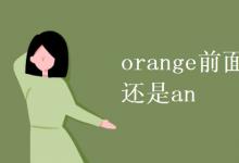 教育资讯：orange前面用a还是an