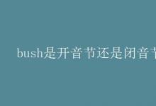 教育资讯：bush是开音节还是闭音节