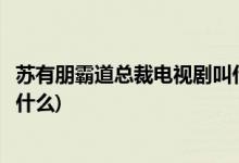 苏有朋霸道总裁电视剧叫什么名字(苏有朋霸道总裁电视剧是什么)