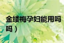 金缕梅孕妇能用吗（金缕梅提取物孕妇可以用吗）