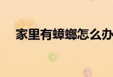 家里有蟑螂怎么办（家里有蟑螂怎么办）