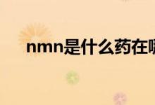 nmn是什么药在哪买（nmn是什么药）