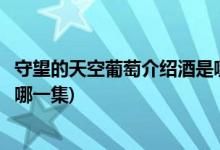 守望的天空葡萄介绍酒是哪一集(守望的天空中葡萄介绍酒是哪一集)