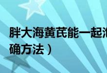 胖大海黄芪能一起泡水喝（胖大海泡水喝的正确方法）