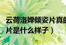 云荷洛婵倾姿片真的能减肥吗（云荷洛婵倾姿片是什么样子）