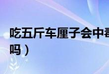 吃五斤车厘子会中毒吗（吃一斤车厘子会中毒吗）