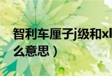 智利车厘子j级和xl级是什么（j级车厘子是什么意思）