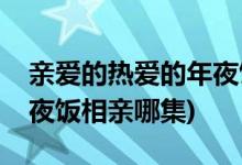 亲爱的热爱的年夜饭第几集(亲爱的热爱的年夜饭相亲哪集)