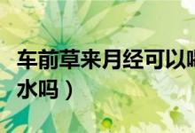 车前草来月经可以喝吗（经期可以喝车田草泡水吗）