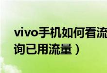 vivo手机如何看流量套餐（vivo手机怎么查询已用流量）