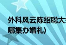 外科风云陈绍聪大婚哪一集(外科风云陈绍聪哪集办婚礼)