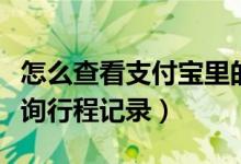 怎么查看支付宝里的行程记录（支付宝怎么查询行程记录）