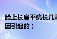 脸上长扁平疣长几颗（脸上长扁平疣是什么原因引起的）