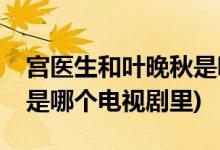 宫医生和叶晚秋是哪部电视剧(晚秋和宫医生是哪个电视剧里)