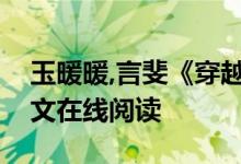 玉暖暖,言斐《穿越之娇妾成妻》玉暖暖开全文在线阅读