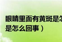 眼睛里面有黄斑是怎么回事（眼睛里面有黄斑是怎么回事）