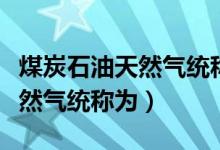 煤炭石油天然气统称为什么原料（煤炭石油天然气统称为）