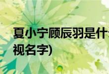 夏小宁顾辰羽是什么电视(夏小宁顾辰羽的电视名字)