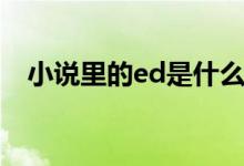 小说里的ed是什么（小说ed是什么意思）