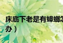 床底下老是有蟑螂怎么办（床底下有蟑螂怎么办）