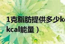 1克脂肪提供多少kcal能量（1g脂肪提供多少kcal能量）