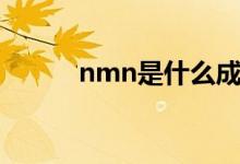 nmn是什么成分（nmn是什么）